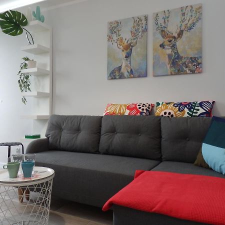 Appartement Super Punkt Zabianka /Sopot à Gdańsk Extérieur photo